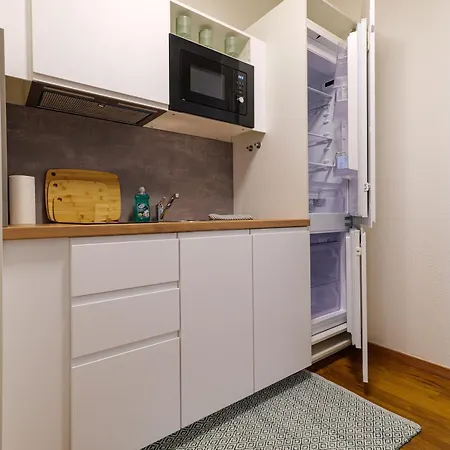 Flataid Cityapartment Stadlgasse - Griessplatz 公寓 格拉茨