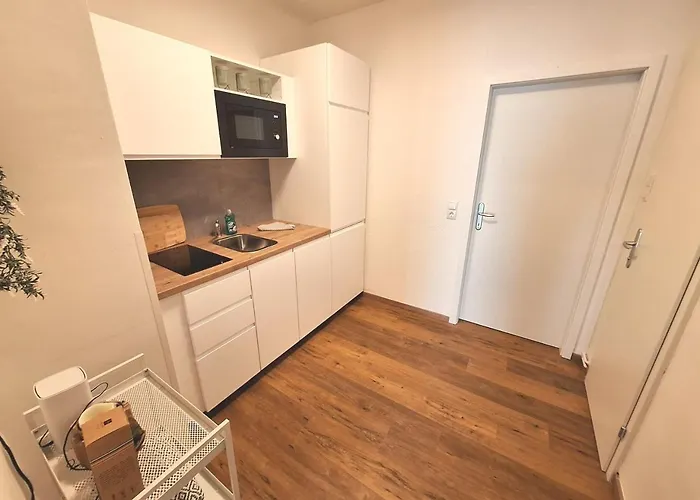 Flataid Cityapartment Stadlgasse - Griessplatz Грац